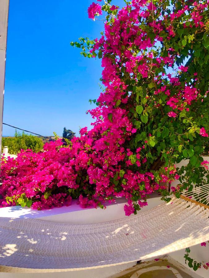 The Summer Pink House Lakhania Luaran gambar