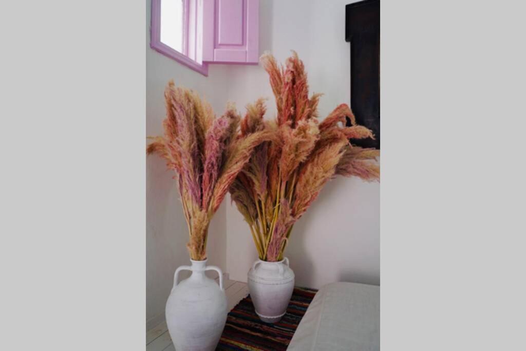 The Summer Pink House Lakhania Luaran gambar
